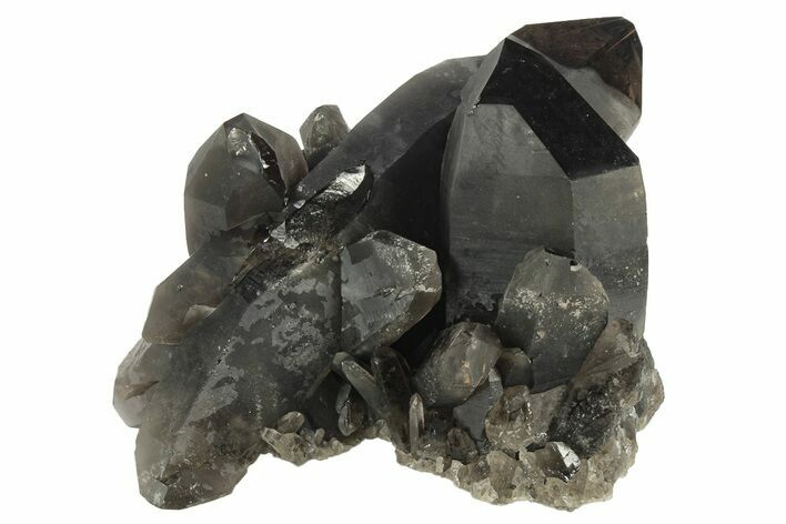 Natural Smoky Quartz Crystal Cluster with Rutile - Brazil #234077